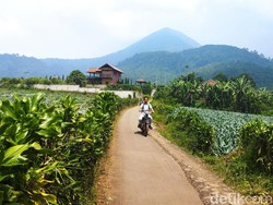 Pasukan Jagal di Kaki Gunung Bukit Tunggul