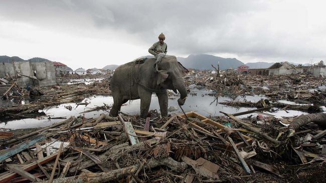 BMKG Ungkap 26 provinsi di Indonesia Rawan Dihantam Tsunami