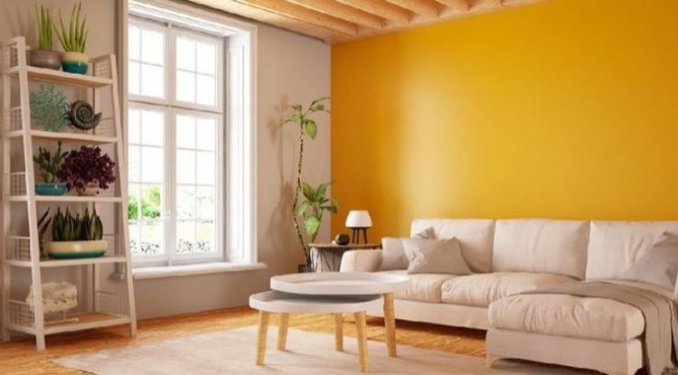 7 Rekomendasi Warna Cat Rumah untuk Tahun Baru, Hadirkan Suasana Sejuk & Gembira Warna dapat memberi kesejukan di rumah, Bunda. Simak berbagai pilihan warna menarik ini, yuk.