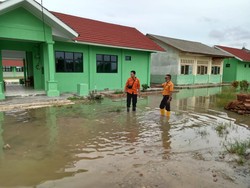 177 Rumah di Pesawaran Lampung Rusak Akibat Banjir, di Mesuji Belum Surut