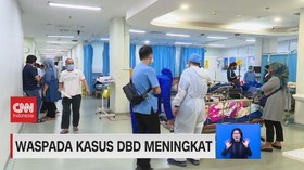 VIDEO: Waspada Kasus DBD Meningkat