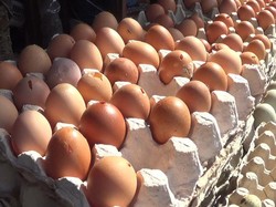 Harga Melambung Jelang Tahun Baru, Warga Blitar Berburu Telur Bentesan
