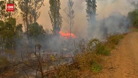 VIDEO: 12.000 Hektare Lahan di Chile Dilahap Api