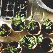 Berikut 3 Bahan Alami yang Bisa Dijadikan DIY Skincare untuk Kamu yang Sedang Low Budget