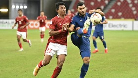 Momen Gurau Shin Tae Yong Mau Pukul Dedik Usai Final Piala AFF