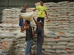 Bulog Jamin Stok Beras Aman saat Ramadan dan Idulfitri