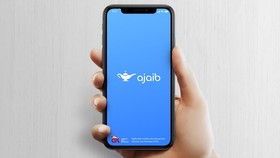 3 Sektor Saham yang Berpotensi Tinggi di Pemerintahan Prabowo-Gibran