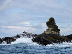 Pulau Gorgona, Alcatraz-nya Kolombia, Tempat Politisi Korup Dibuang