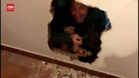 VIDEO: Momen Dramatis Polisi Spanyol Selamatkan Anak Anjing