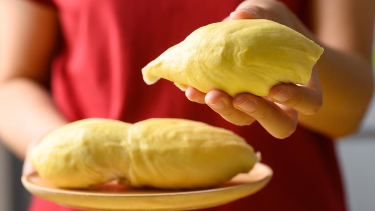 Ripe Thai durian fruit (Monthong) on wooden plate holding by woman hand, Tropical fruit