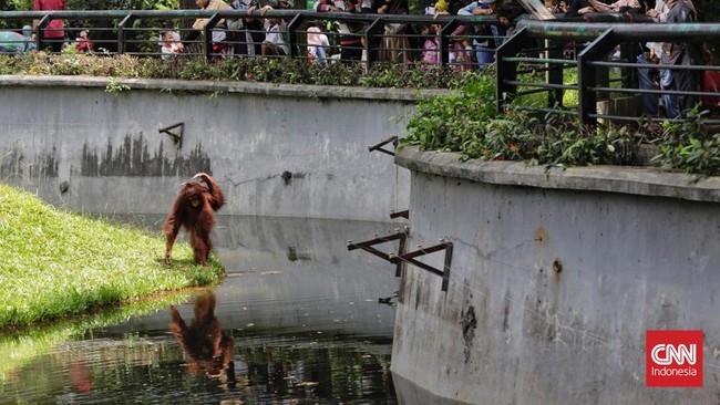 FOTO: Ramai Pengunjung Ragunan saat Libur Tahun Baru 2022