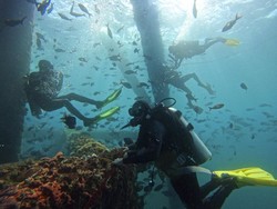 Wow! Tukang Las Bawah Laut Punya Gaji Fantastis, Bisa Sampai Rp 1 M