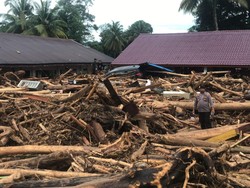 Padang Lawas Diterjang Bandang, Tumpukan Gelondongan Kayu Berserakan!