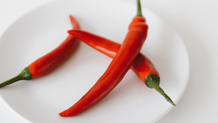 Harga Cabai Mulai 'Meroket' di Pasaran, Simak Cara Menanam Tanaman Cabai Agar Cepat Panen!