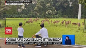 VIDEO: Jokowi Ajak Cucu Keliling Istana Bogor