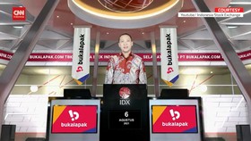VIDEO: Eks CEO Bukalapak Gabung Jadi Anak Buah Luhut