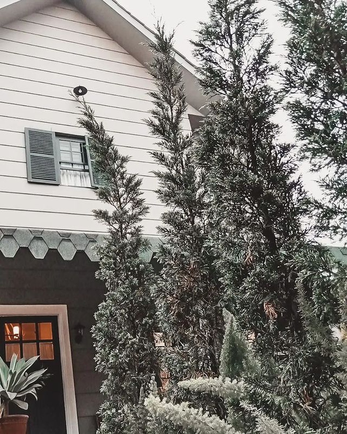 9 Potret Sudut Rumah Mewah Baru Arya Saloka