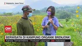 VIDEO: Berwisata di Kampung Organik Brenjonk