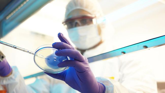 Pusat Pengendalian dan Pencegahan Penyakit AS (CDC) baru-baru ini tengah memantau varian baru Covid-19 EU.1.1. Apa itu Covid-19 EU.1.1?