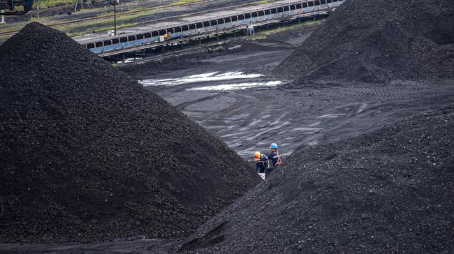 Menko Marinves Luhut B Panjaitan menerapkan skema baru pembelian batu bara untuk PLN. Nantinya, PLN akan membeli batu bara sesuai harga di pasar.