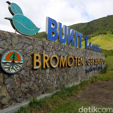 Bukit Teletubbies Bromo Kebakaran Gegara Pre-Wedding, Owner WO Jadi Tersangka