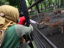 4 Wisata Surabaya Ini Tawarkan Inovasi Berbeda Tahun Ini