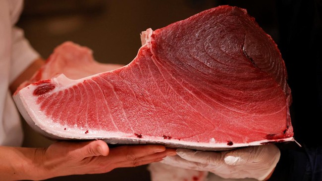 FOTO: Lelang Tuna Sirip Biru Raksasa Senilai Rp2 Miliar