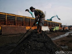 Orang Terkaya ke-18 RI Borong Lagi Saham Batu Bara