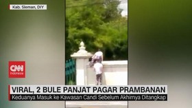 VIDEO: Viral, 2 Bule Panjat Pagar Prambanan
