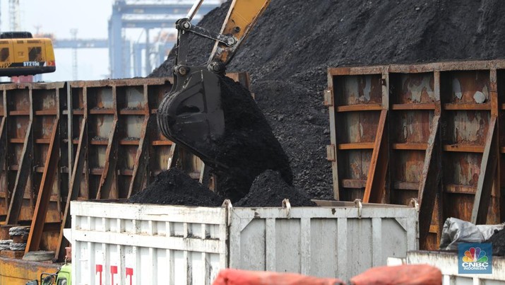 Pekerja melakukan bongkar muat batubara di Terminal Tanjung Priok, Jakarta, Kamis (6/1/2022). Pemerintah memutuskan untuk menyetop ekspor batu bara pada 1–31 Januari 2022 guna menjamin terpenuhinya pasokan komoditas tersebut untuk pembangkit listrik tenaga uap (PLTU) milik PLN dan independent power producer (IPP) dalam negeri. Kurangnya pasokan batubara dalam negeri ini akan berdampak kepada lebih dari 10 juta pelanggan PLN, mulai dari masyarakat umum hingga industri, di wilayah Jawa, Madura, Bali (Jamali) dan non-Jamali. (CNBC Indonesia/ Tri Susilo)