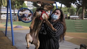 FOTO: Spanyol Tetapkan Hak Asuh Anjing saat Pasangan Bercerai
