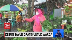 VIDEO: Kebun Sayur Gratis Untuk Warga
