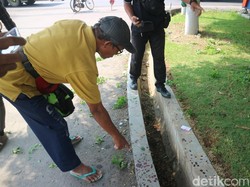 Ngeri! Viral Foto Potongan Tangan Manusia di Taman Bumi Wangi Kudus