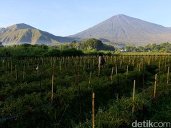 Jelang MotoGP Mandalika, Pendakian Rinjani Lebih Dulu Dibuka