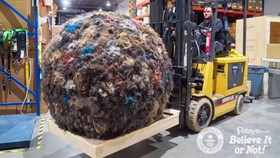 Bola Rambut Seberat 102 Kg Pecahkan Rekor Dunia