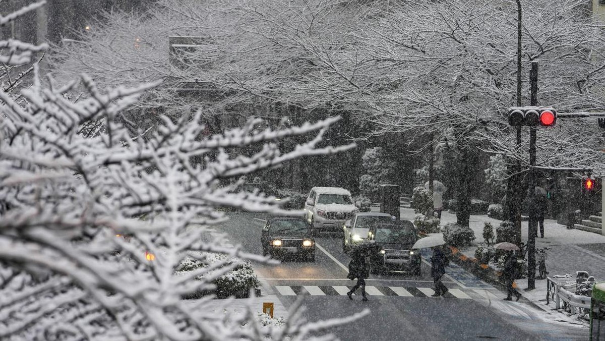 FOTO: Hari-hari Pertama Tokyo Diselimuti Salju