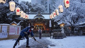 FOTO: Hari-hari Pertama Tokyo Diselimuti Salju