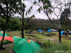 4 Tempat Camping di Cibodas, Suguhkan Pemandangan Indah dan Udara yang Sejuk