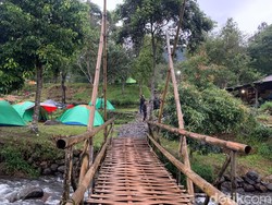 Bingung Mau Kemping di Mana? Bumi Perkemahan Mandalawangi Jadi Pilihan Tepat