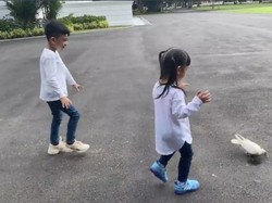 Penuh Tawa! Jokowi Temani Jan Ethes-Sedah Mirah Beri Makan Burung Dara
