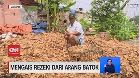 VIDEO: Sehari Menjadi Produsen Arang Batok Kelapa
