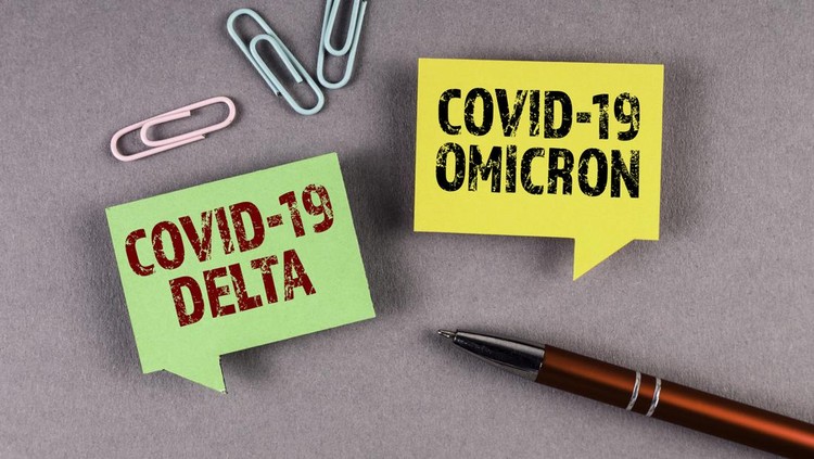Covid-19 Delta and Omicron. Yellow and green speech bubble on a gray background.