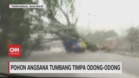 VIDEO: Pohon Angsana Tumbang dan Menimpa Odong Odong