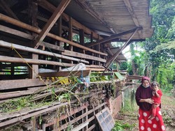 Pencuri Domba Sisakan Jeroan di Depok, Tinggalkan Jejak di Gorong-gorong
