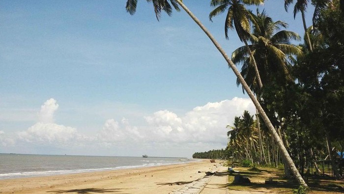 3 Destinasi Wisata Alam Recommended di Penajam Paser Utara, Calon Ibu Kota Negara Baru