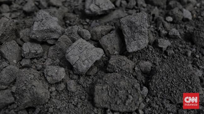 Rancangan Undang-Undang (RUU) tentang Energi Baru dan Terbarukan (EBT) memasukkan sejumlah turunan batu bara sebagai energi baru.