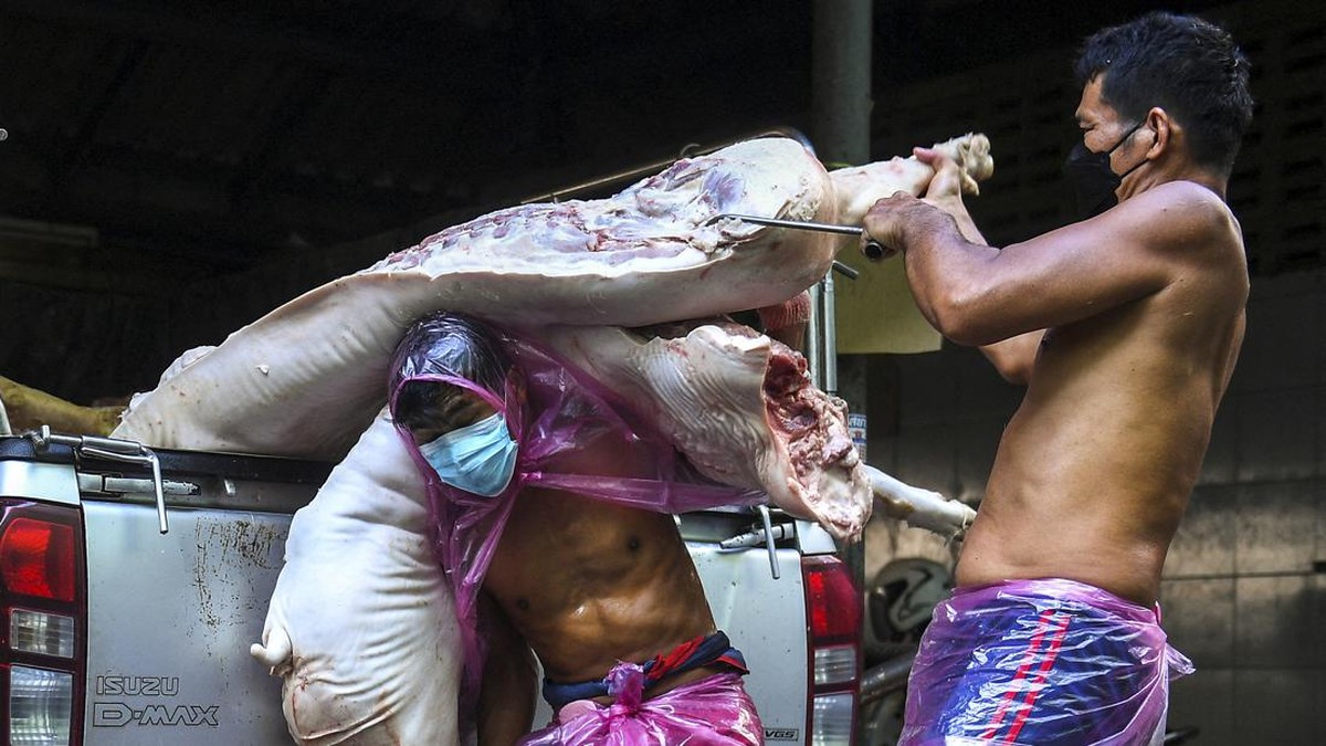 FOTO: Flu Babi Afrika 'Hantui' Rumah Jagal Thailand