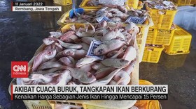 VIDEO: Akibat Cuaca Buruk, Tangkapan Ikan Berkurang