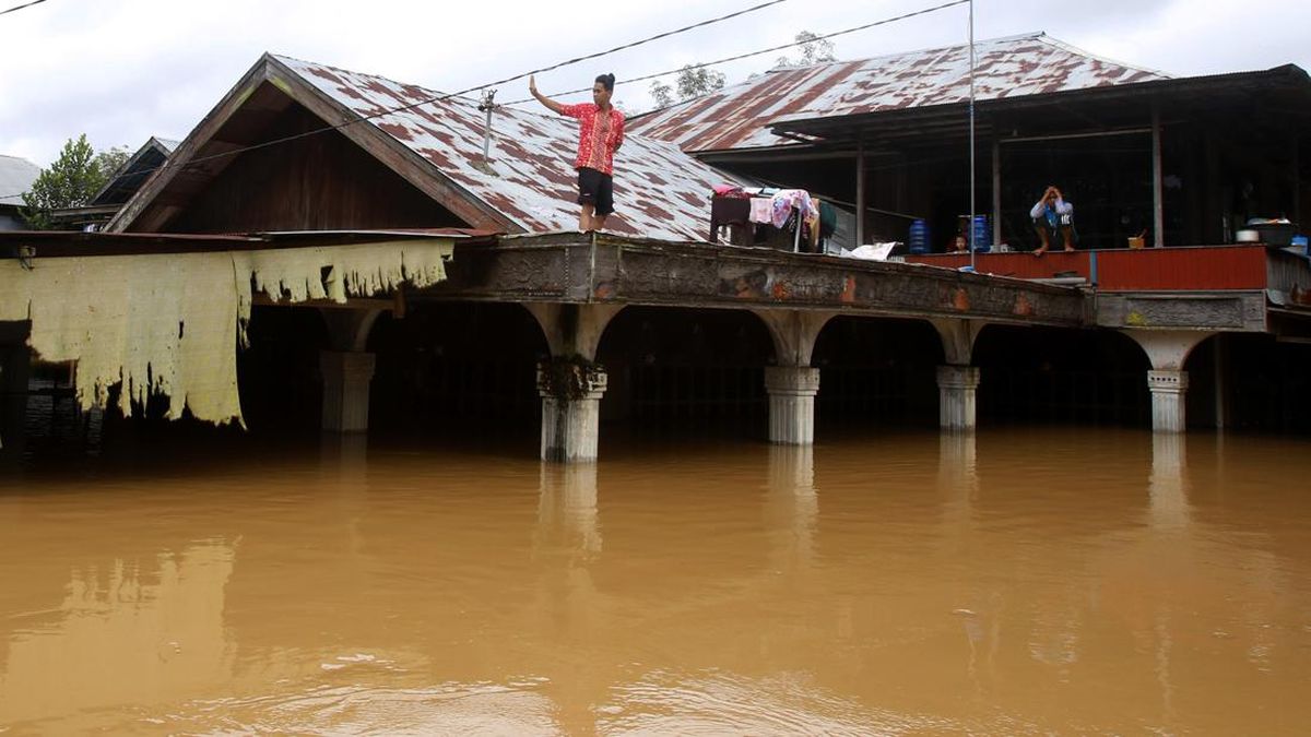 Banjir Terjang Tolitoli Sulteng, Ketinggian Air Capai Atap Rumah Warga
