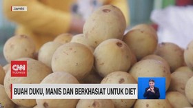 VIDEO: Buah Duku, Manis dan Berkhasiat untuk Diet
